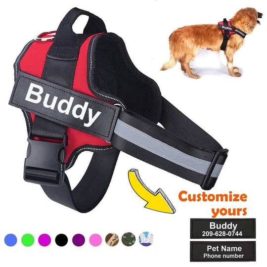 Personalized Dog HarnessHARNESSES
