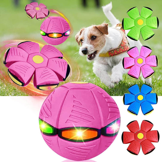 Magic Flying Ball for DogsTOYS