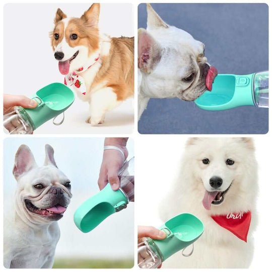 Travel Dog Bottle | Portable Pet Feeder | Food Water Bottle