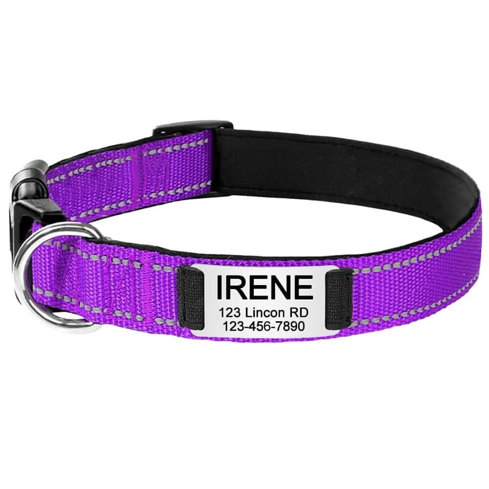 Purple Adjustable Nylon Dog Collars