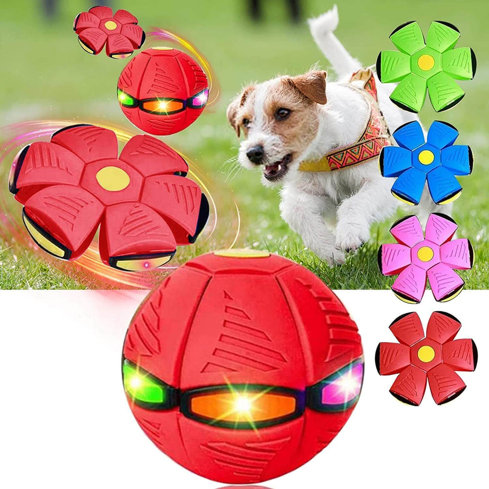 Red Magic Flying Ball for Dogs