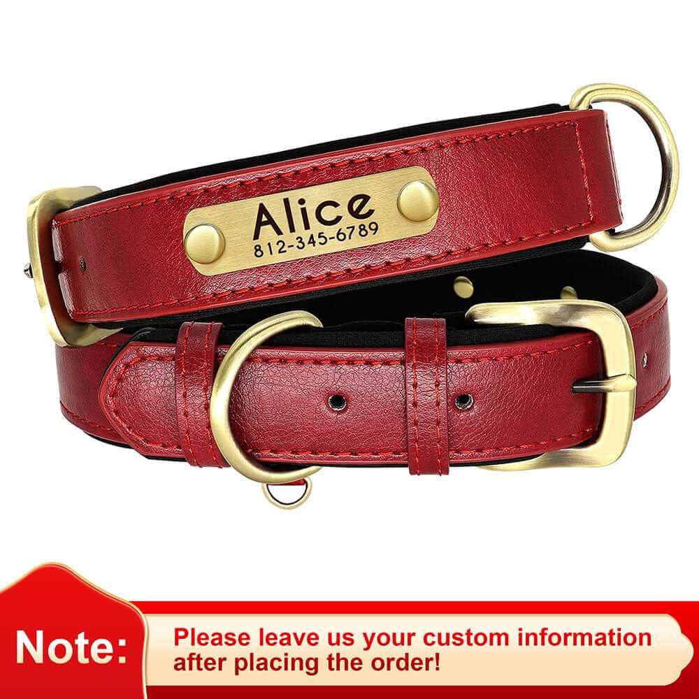 Leather Dark Red Dog Collar and Leash With ID