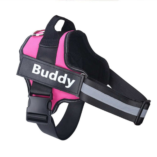 Custom Dog Harness | Personalized Pet Accessories | Harness
