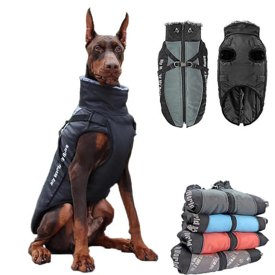 Waterproof Dog Jacket | Pet Disney | Stylish Hoodie for Dog