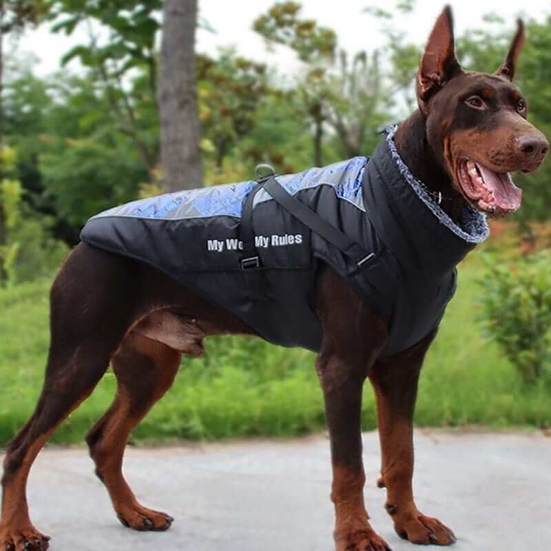 Waterproof Dog Jacket | Pet Disney | Stylish Hoodie for Dog