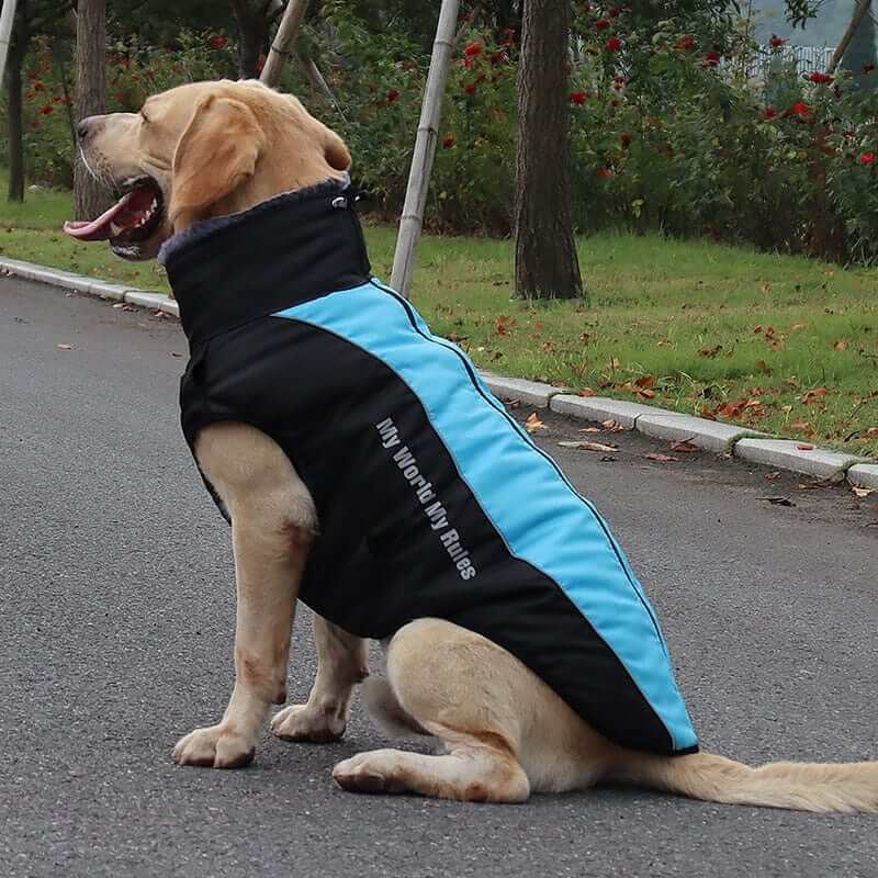 Waterproof Jacket for DogsCLOTHING