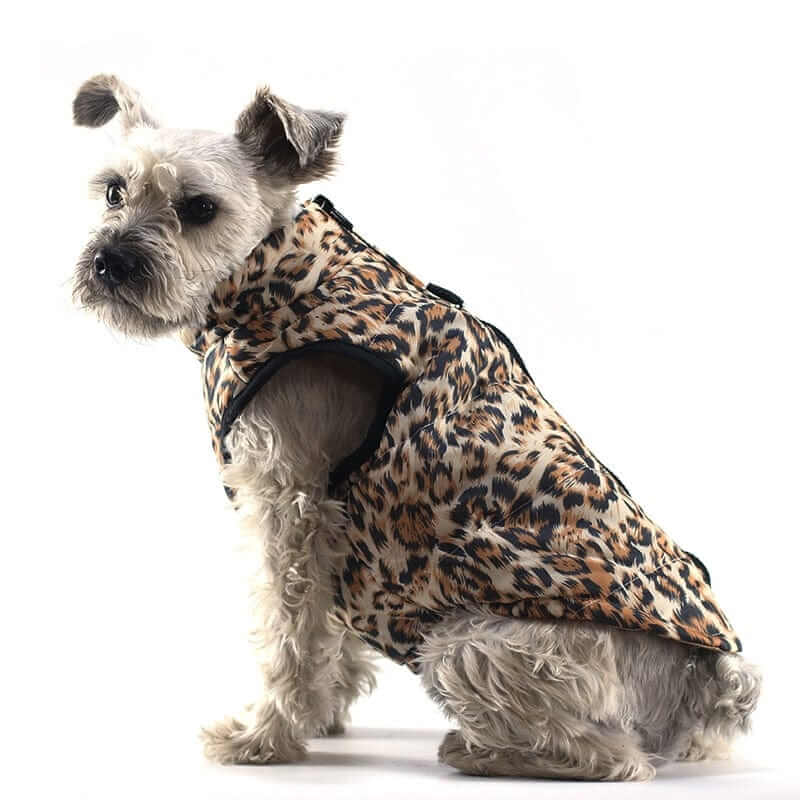 Waterproof Dog Jacket | Insulated Coat | Waterproof Gear