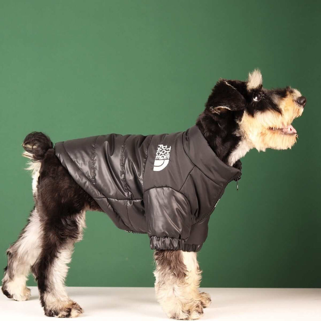 Dog Winter Coat | Stylish Pet Apparel | Durable Jackets