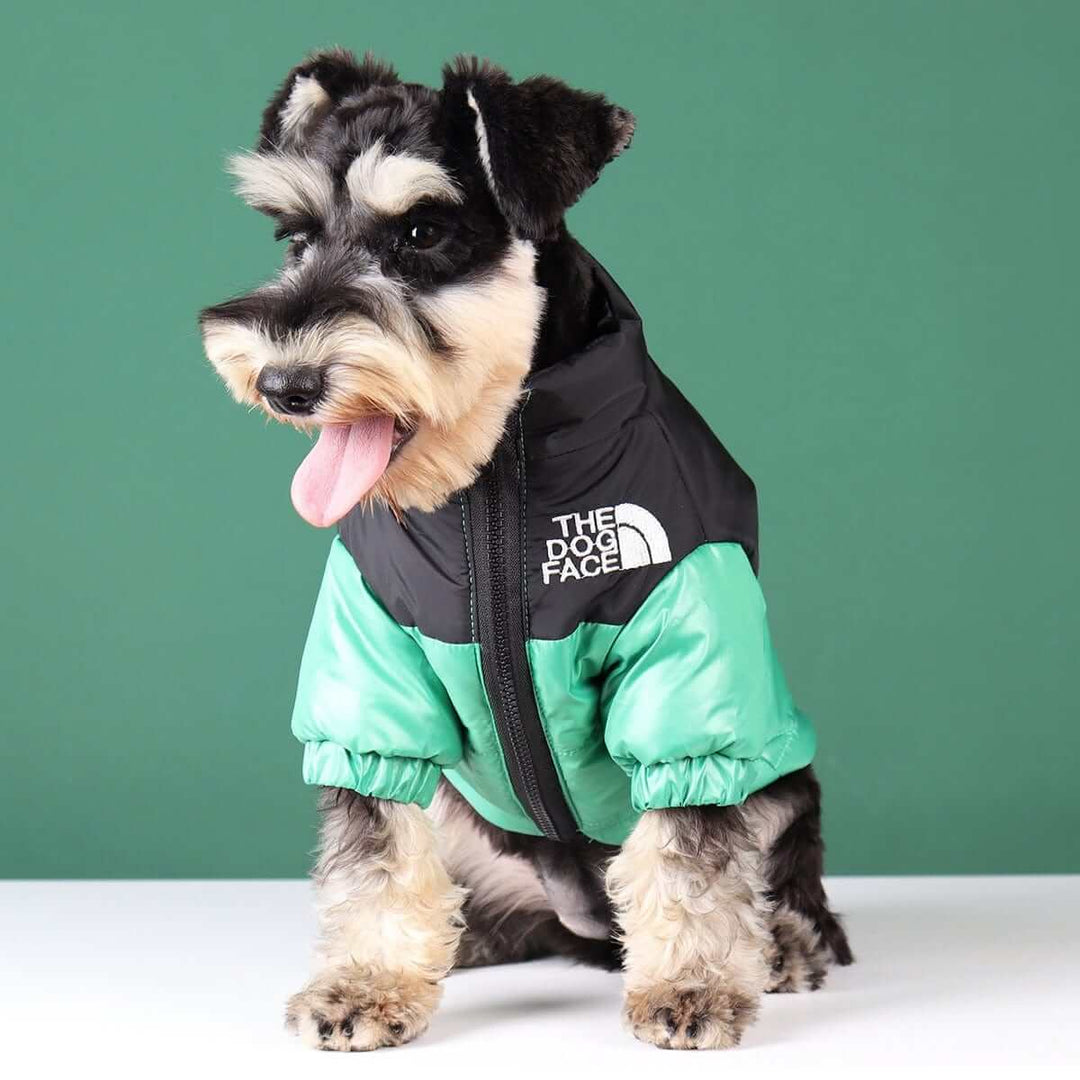 Dog Winter Coat | Stylish Pet Apparel | Durable Jackets